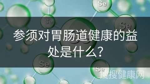 参须对胃肠道健康的益处是什么？