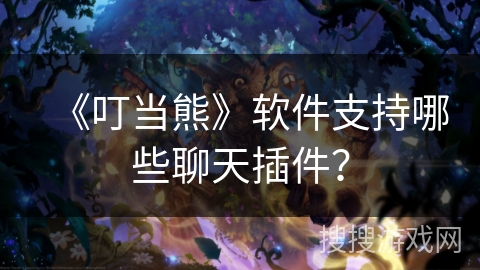 《叮当熊》软件支持哪些聊天插件？