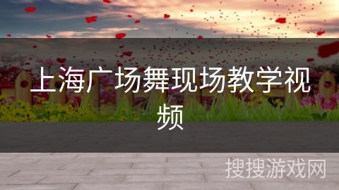 上海广场舞现场教学视频