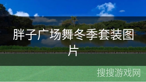 胖子广场舞冬季套装图片 胖子广场舞冬季套装图片