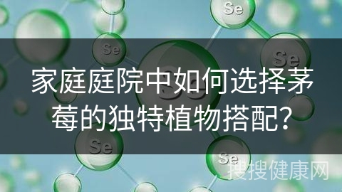 家庭庭院中如何选择茅莓的独特植物搭配？