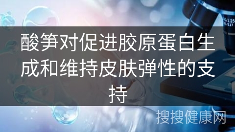 酸笋对促进胶原蛋白生成和维持皮肤弹性的支持