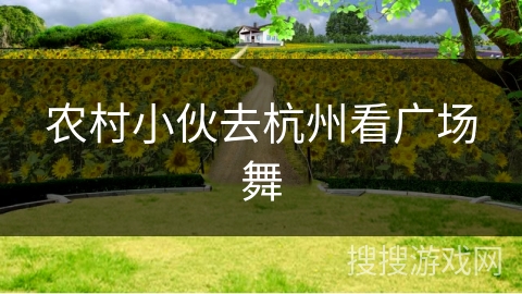 农村小伙去杭州看广场舞