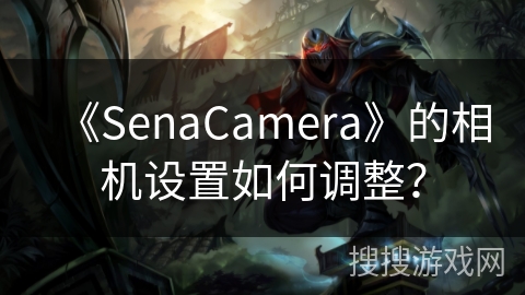 《SenaCamera》的相机设置如何调整？