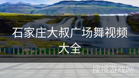 石家庄大叔广场舞视频大全