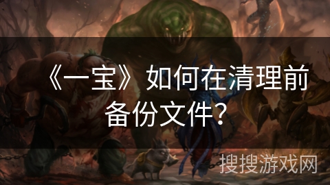 《一宝》如何在清理前备份文件？