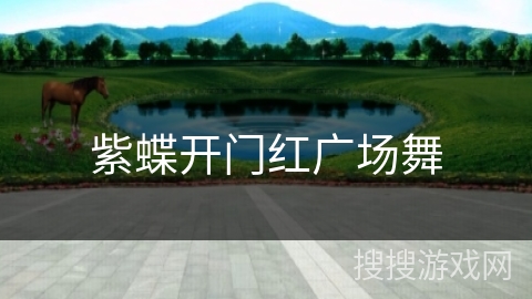 紫蝶开门红广场舞