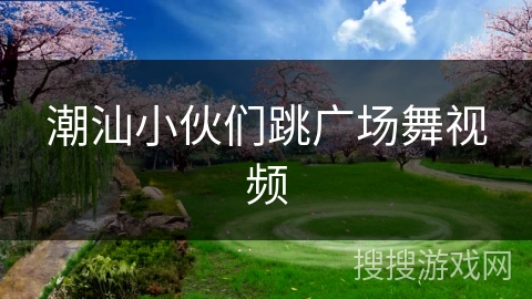 潮汕小伙们跳广场舞视频