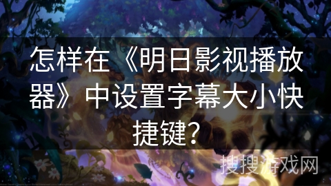 怎样在《明日影视播放器》中设置字幕大小快捷键？