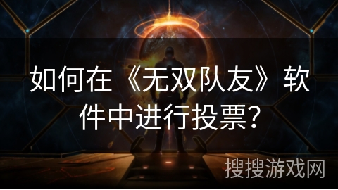 如何在《无双队友》软件中进行投票？