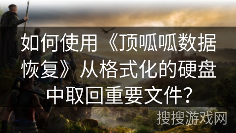如何使用《顶呱呱数据恢复》从格式化的硬盘中取回重要文件? 如何使用《顶呱呱数据恢复》从格式化的硬盘中取回重要文件?