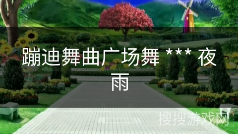 蹦迪舞曲广场舞 *** 夜雨