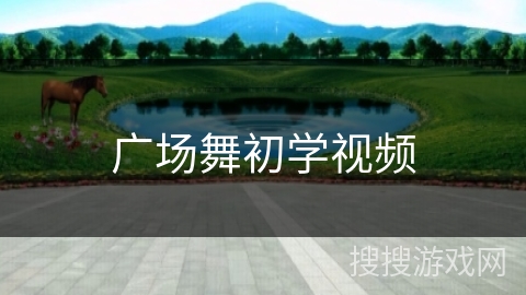 广场舞初学视频