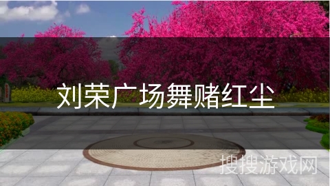 刘荣广场舞赌红尘