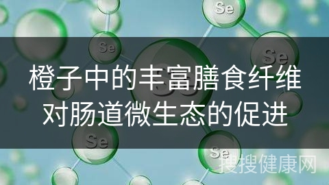 橙子中的丰富膳食纤维对肠道微生态的促进