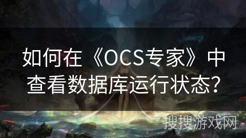 如何在《OCS专家》中查看数据库运行状态？