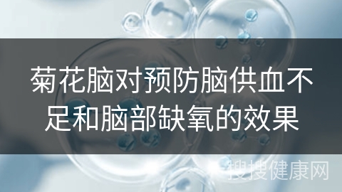 菊花脑对预防脑供血不足和脑部缺氧的效果