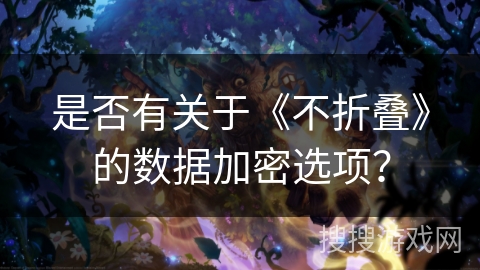 是否有关于《不折叠》的数据加密选项? 是否有关于《不折叠》的数据加密选项?