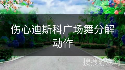 伤心迪斯科广场舞分解动作 伤心迪斯科广场舞分解动作