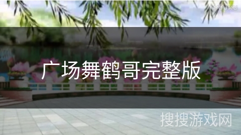 广场舞鹤哥完整版 广场舞鹤哥完整版