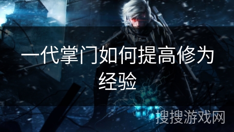 一代掌门如何提高修为经验