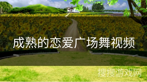 成熟的恋爱广场舞视频 成熟的恋爱广场舞视频