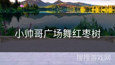 小帅哥广场舞红枣树