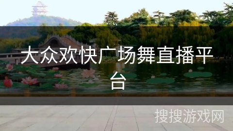 大众欢快广场舞直播平台