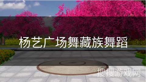 杨艺广场舞藏族舞蹈