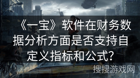 《一宝》软件在财务数据分析方面是否支持自定义指标和公式？