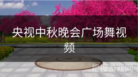 央视中秋晚会广场舞视频