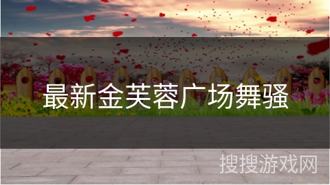 最新金芙蓉广场舞骚