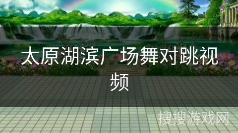 太原湖滨广场舞对跳视频