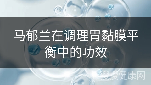 马郁兰在调理胃黏膜平衡中的功效