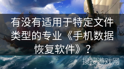 有没有适用于特定文件类型的专业《手机数据恢复软件》？