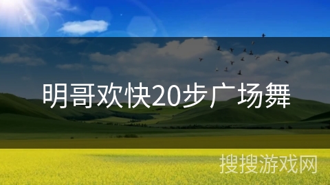 明哥欢快20步广场舞 明哥欢快20步广场舞