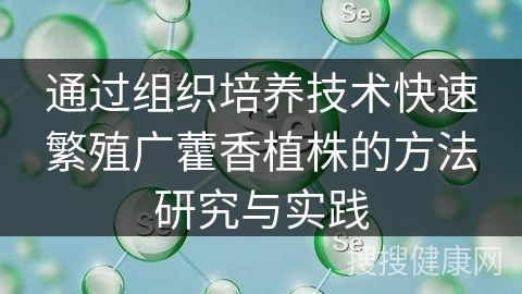 通过组织培养技术快速繁殖广藿香植株的方法研究与实践