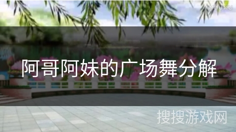 阿哥阿妹的广场舞分解