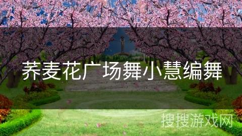 荞麦花广场舞小慧编舞