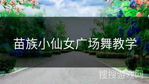 苗族小仙女广场舞教学 苗族小仙女广场舞教学