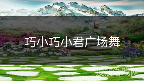 巧小巧小君广场舞