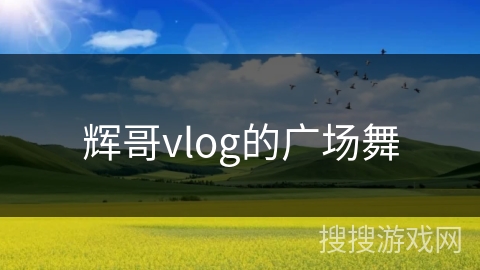 辉哥vlog的广场舞