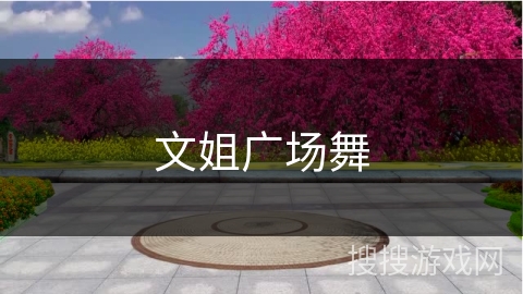 文姐广场舞