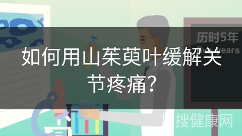 如何用山茱萸叶缓解关节疼痛？