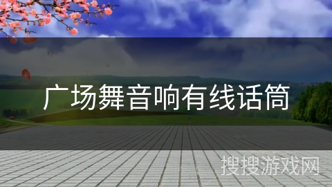 广场舞音响有线话筒