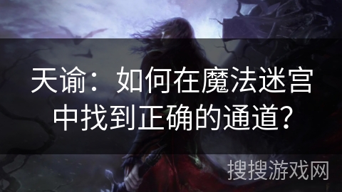 天谕：如何在魔法迷宫中找到正确的通道？