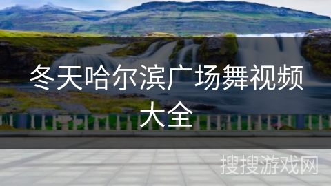 冬天哈尔滨广场舞视频大全