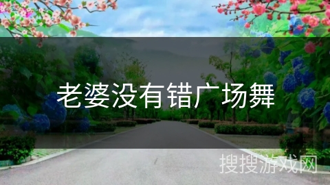 老婆没有错广场舞