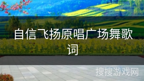 自信飞扬原唱广场舞歌词
