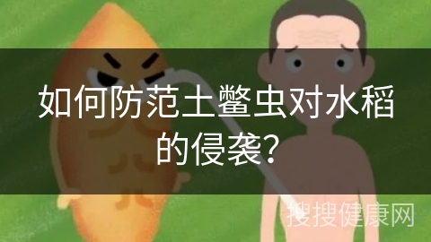 如何防范土鳖虫对水稻的侵袭？